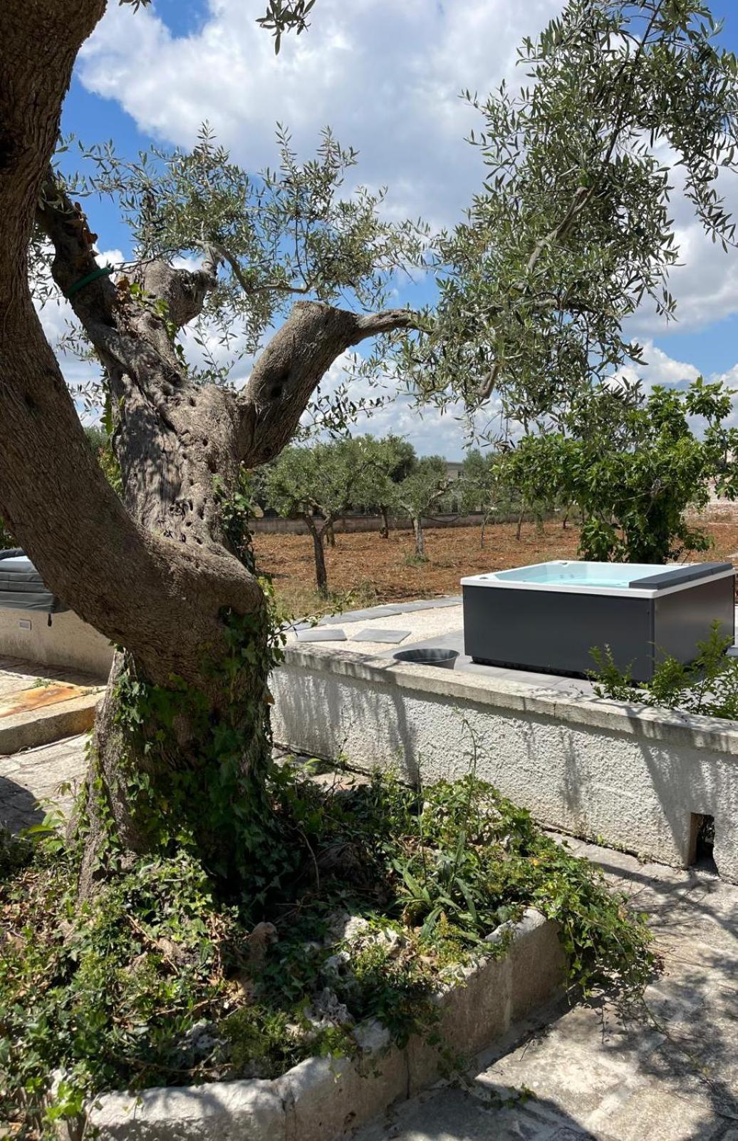 Apartamento Il Trullozio *
